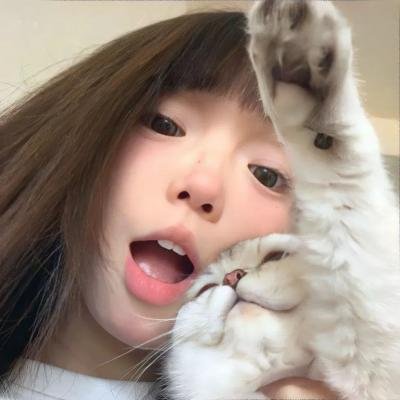 大耳查布